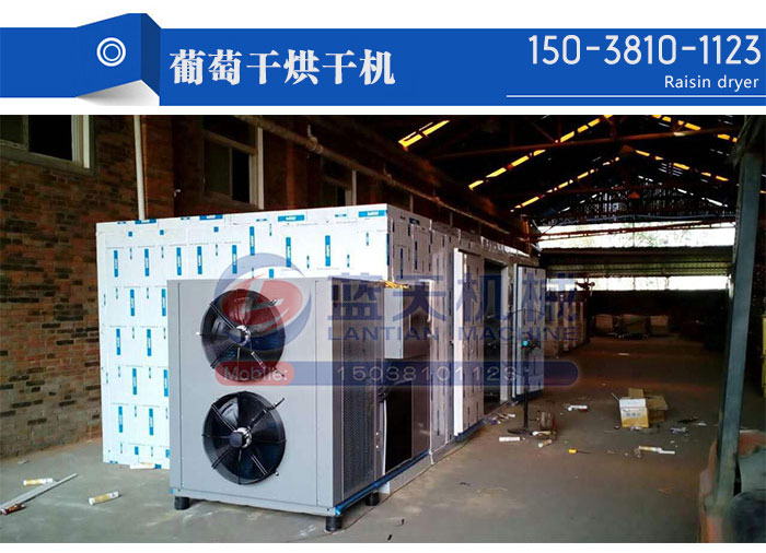葡萄干烘干機