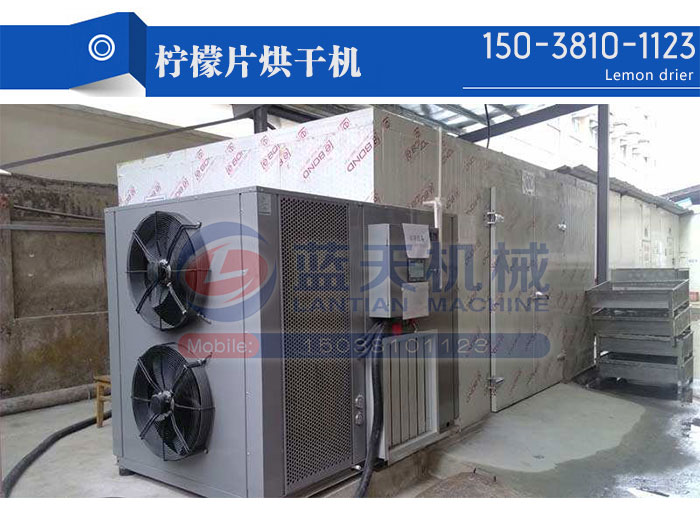 檸檬片烘干機
