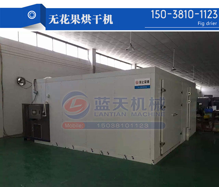 無花果烘干機
