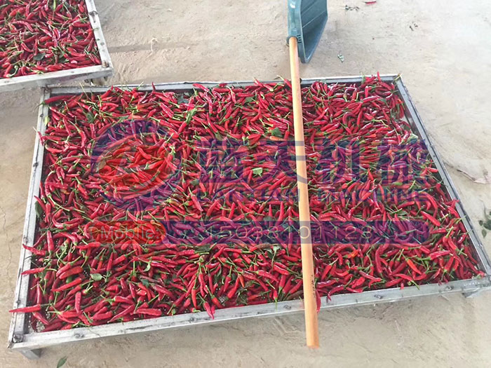 四川辣椒烘干機