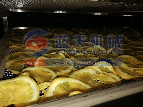 廣西水果烘干機用戶現場