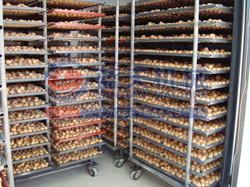 江蘇食品烘干機用戶現場