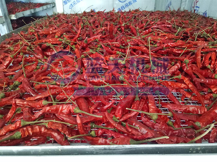 河南辣椒烘干機用戶現場