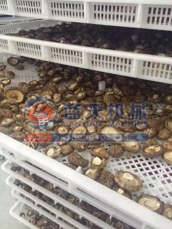 湖北香菇烘干機用戶現(xiàn)場