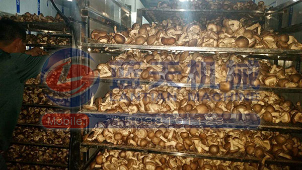 湖北香菇烘干機用戶現(xiàn)場