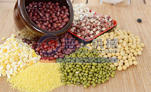 食品烘干技術解決方案