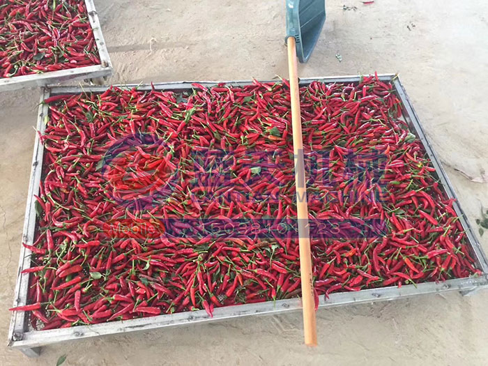 大型食品烘干機試機現場