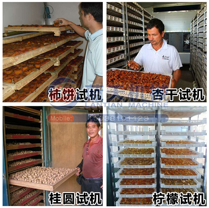 大型果脯烘干機(jī)現(xiàn)場(chǎng)