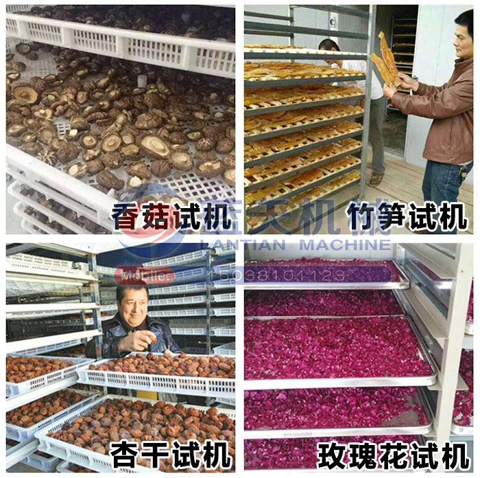 大型蔬菜烘干機試機現場