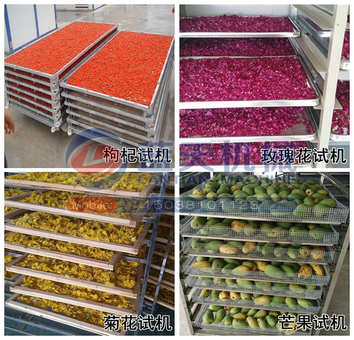 大型中藥材烘干機試機現場