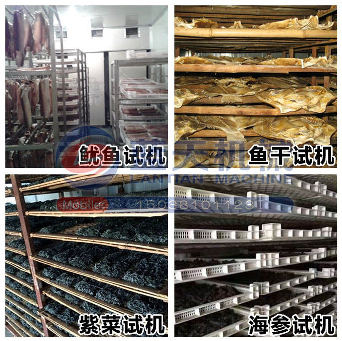 海產品烘干機試機現場