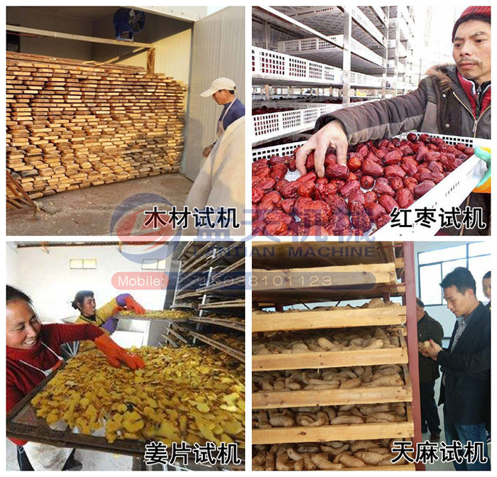 木材烘干房試機現場