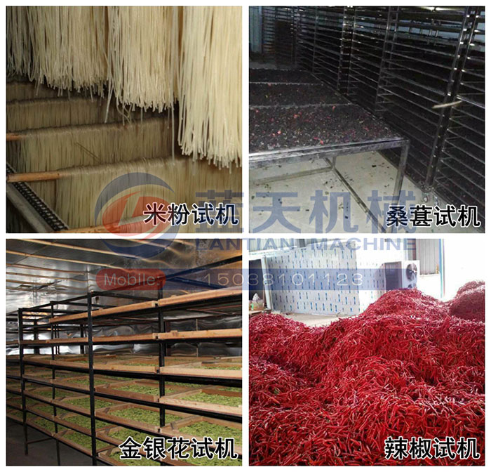 大型米粉烘干機試機現場