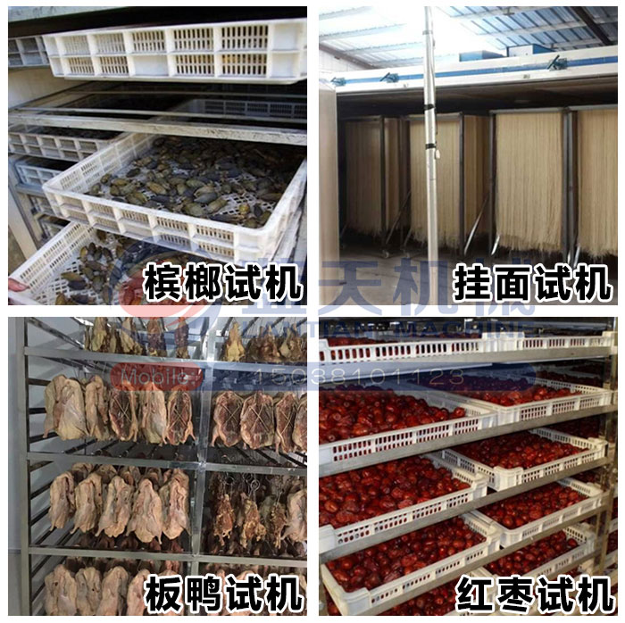 檳榔烘干機試機現場