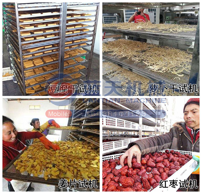 豆腐干烘干機試機現場